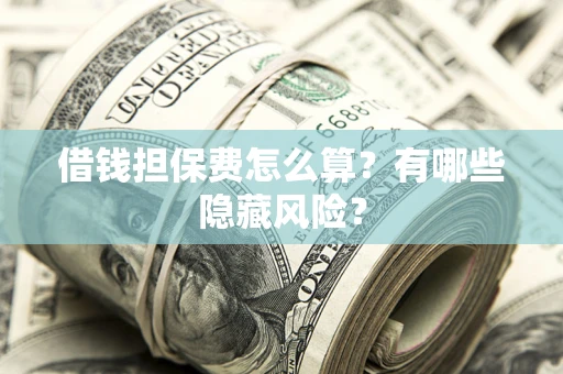 武汉借钱担保费怎么算？有哪些隐藏风险？