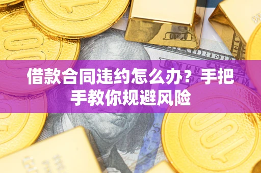 武汉借款合同违约怎么办？手把手教你规避风险