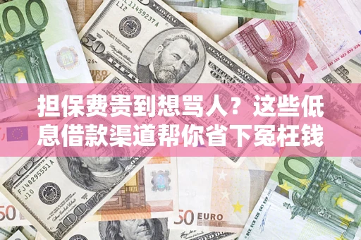 武汉担保费贵到想骂人？这些低息借款渠道帮你省下冤枉钱