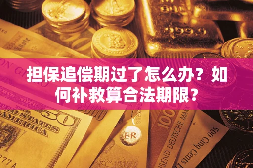 武汉担保追偿期过了怎么办？如何补救算合法期限？