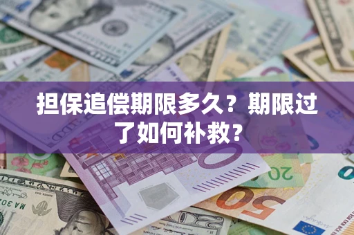 武汉担保追偿期限多久？期限过了如何补救？