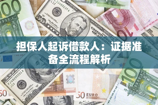 武汉担保人起诉借款人：证据准备全流程解析
