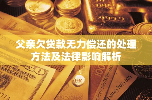 武汉父亲欠贷款无力偿还的处理方法及法律影响解析