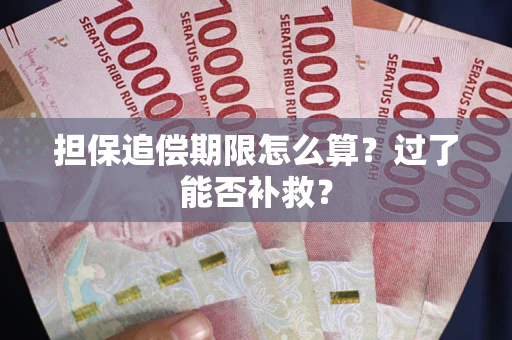 武汉担保追偿期限怎么算？过了能否补救？
